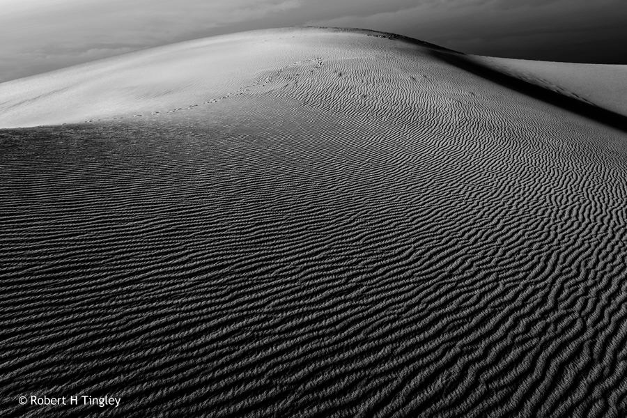 Imperial Dunes